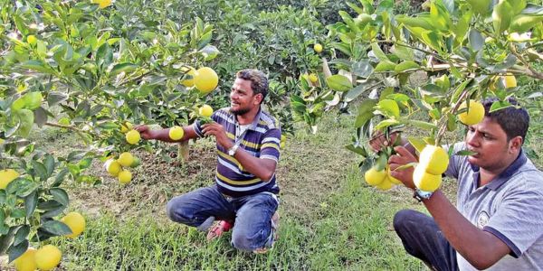 কৃষি কেন তরুণদের কাছে আকর্ষণীয় নয়